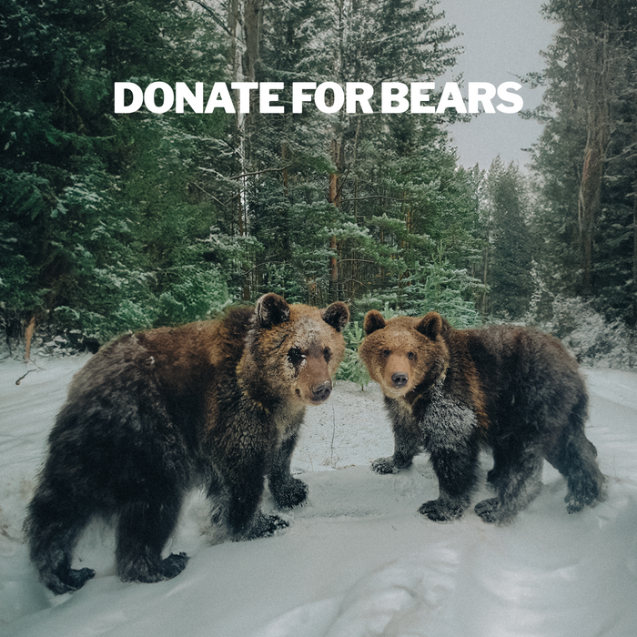 SUPPORT THE BEARS