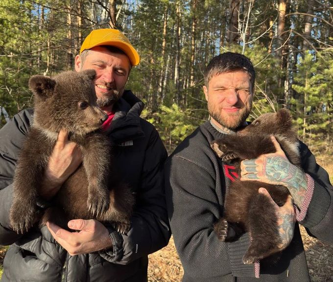 Bears